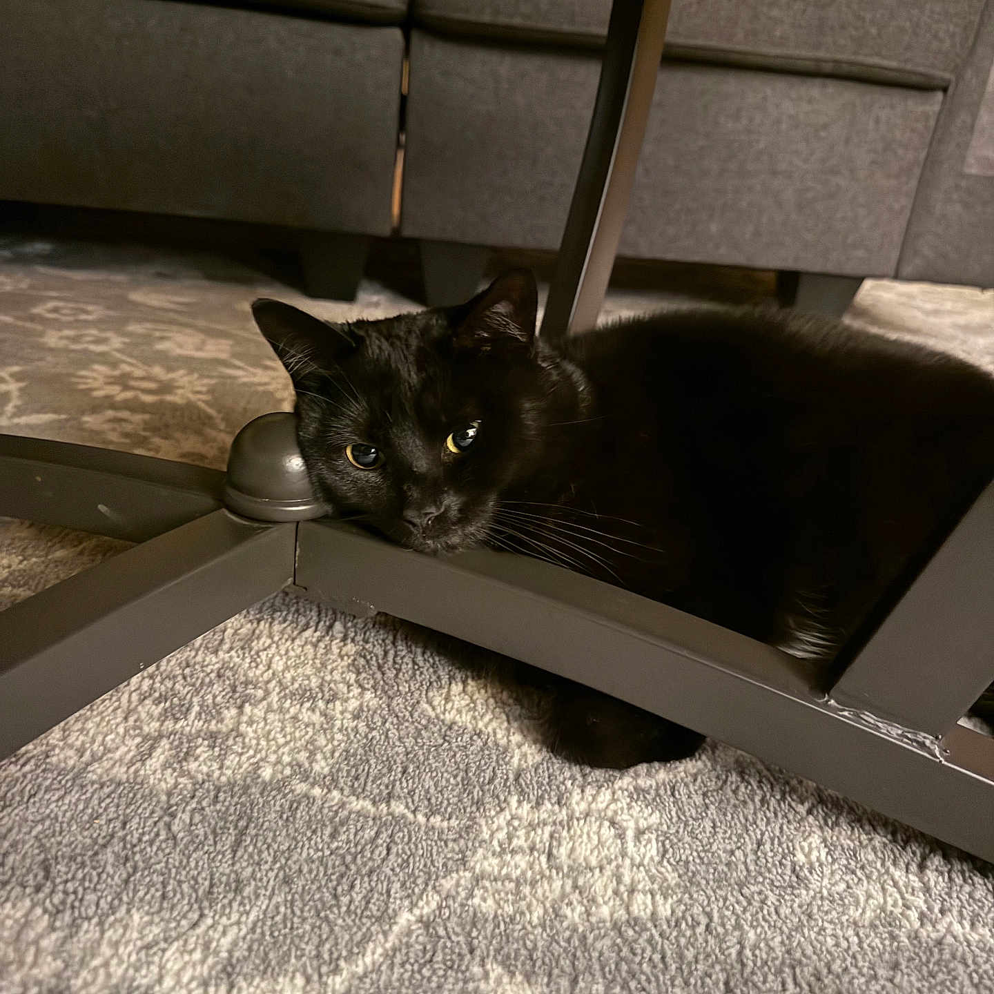Luna