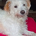Gladys M.