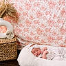 Brynlee is registered to the contest to win money with this photo: newborn, baby, sleeping, pajamas, headband, knitted_cushion, woven_basket, vase, dried_flowers, pampas_grass, wooden_plaque, floral_pattern, fabric_backdrop, pink, white, cozy, indoor, portrait, peaceful, resting