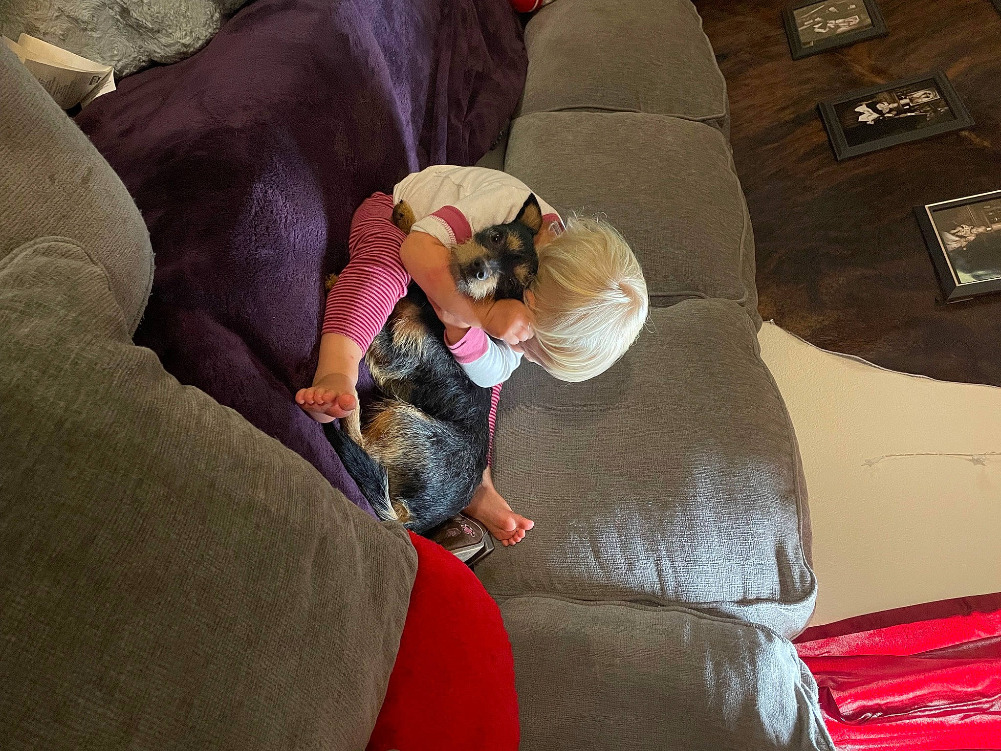 Addisyn is registered to the contest to win money with this photo: bed, bed_sheet, bedding, bedroom, bedtime, comfort, couch, fun, human_leg, linens, magenta, nap, person, pillow, room, sitting, stuffed_toy, textile, thigh, throw_pillow