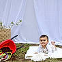 Milani joined the competition — help win amazing prizes! baby, child, smile, blanket, wheelbarrow, soil, flowers, grass, outdoor, basket, curtain, garden, cute, infant, playful, nature, white, green, young, portrait
