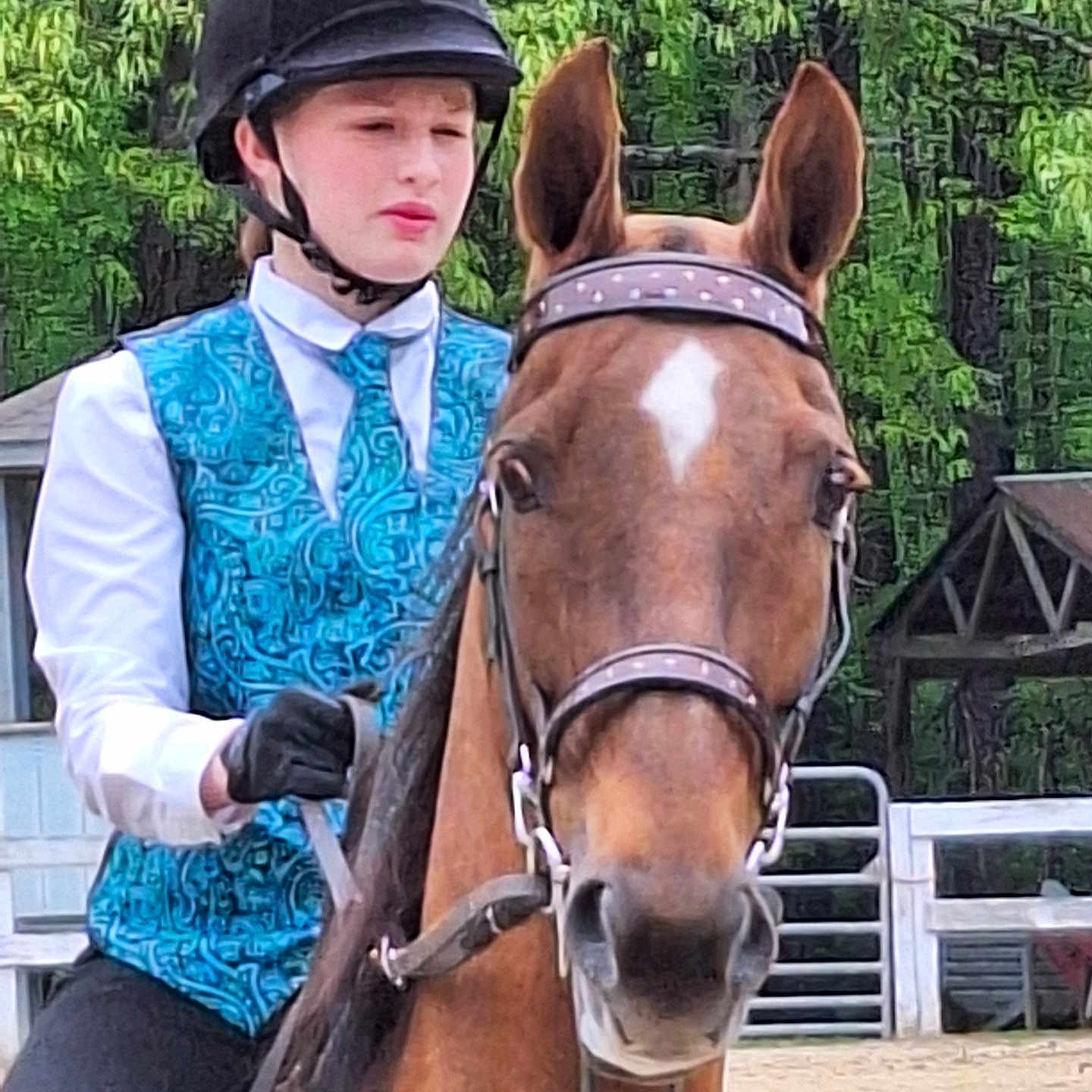 Glorie joined the competition — help win amazing prizes! animal, clothing, colthorse, equestrian, face, glove, head, helmet, horse, horsebackriding, leisureactivities, people, person, polo, saddle, sport, stallion, team, teamsport, vest