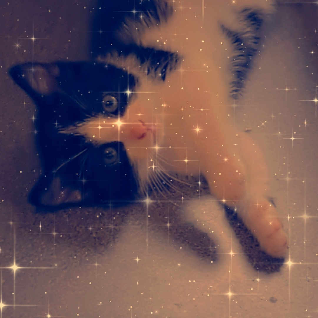 Minnie