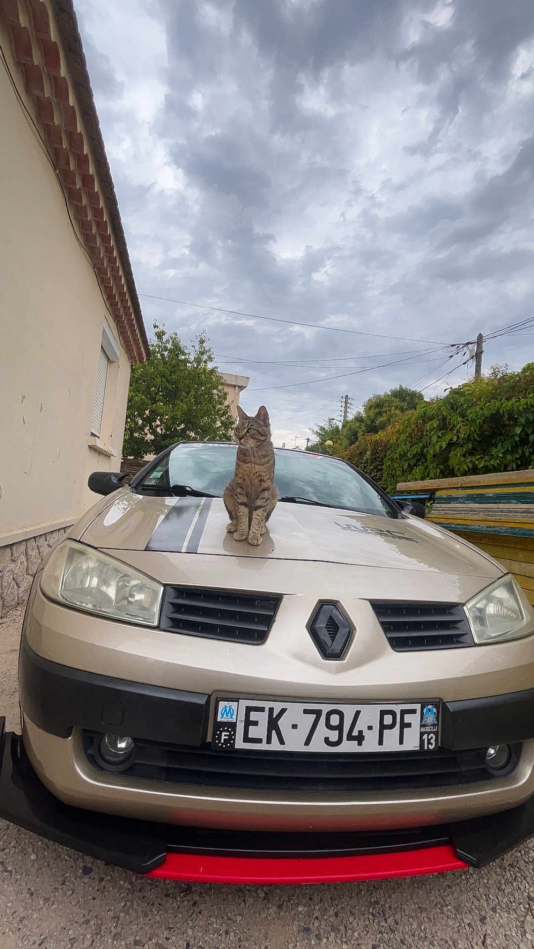 Athena participe au concours pour gagner de l'argent avec cette photo : cat, car, renault, tabby_cat, animal, vehicle, outdoor, cloudy_sky, license_plate, hedge, tree, building, sidewalk, parked_car, pet, animal_sitting, nature, daytime, gray_sky, transportation