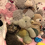 Princesse a rejoint le concours — aidez-le/la à gagner de superbes lots ! animal, bed, blanket, cat, couch, cushion, face, furniture, head, homedecor, kitten, person, pet, photography, plush, portrait, quilt, sleeping, teddybear, toy