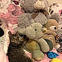 animal, bed, blanket, cat, couch, cushion, face, furniture, head, homedecor, kitten, person, pet, photography, plush, portrait, quilt, sleeping, teddybear, toy