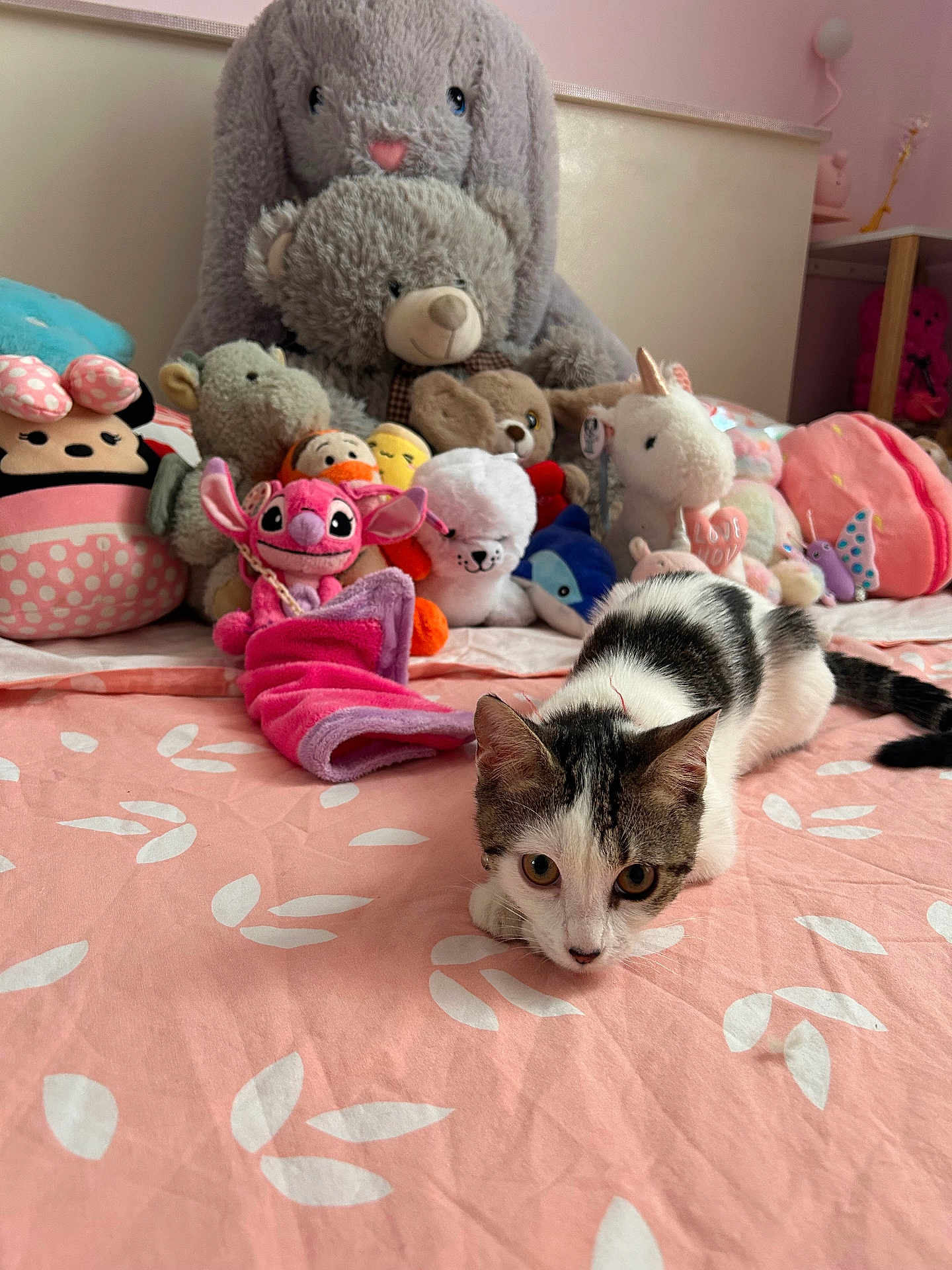 Aura a rejoint le concours — aidez-le/la à gagner de superbes lots ! cat, kitten, bed, pink, stuffed_animals, toys, bunny, teddy_bear, unicorn, plush, indoor, curious, crouching, playful, animal, pet, feline, cute, closeup, bedspread