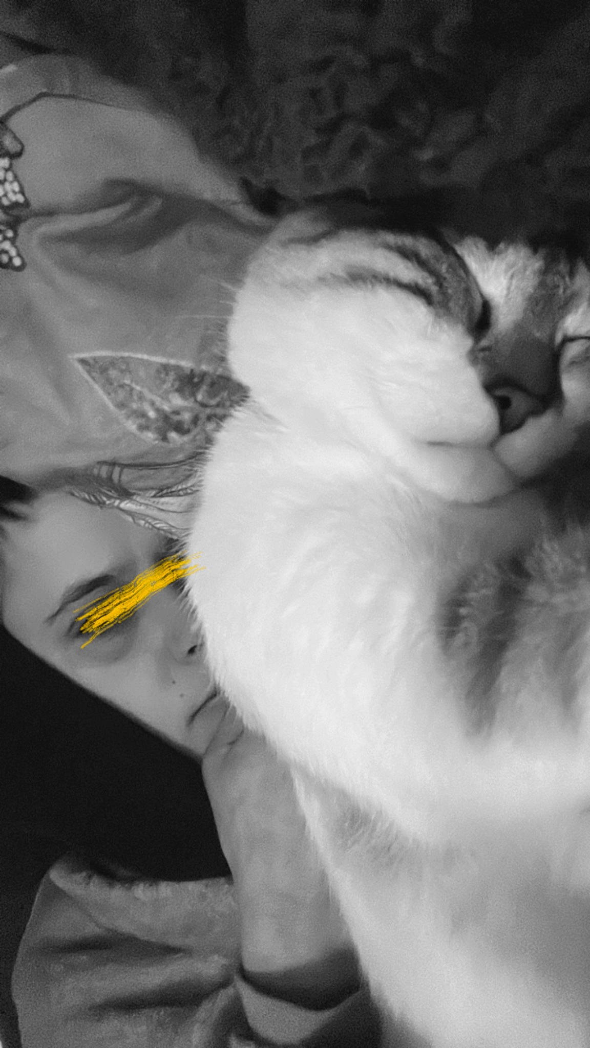 Rosa participe au concours pour gagner de l'argent avec cette photo : black_and_white, carnivore, cat, chest, claw, darkness, domestic_short_haired_cat, felidae, fur, gesture, grey, jaw, monochrome, monochrome_photography, paw, small_to_medium_sized_cats, snout, style, tail, whiskers