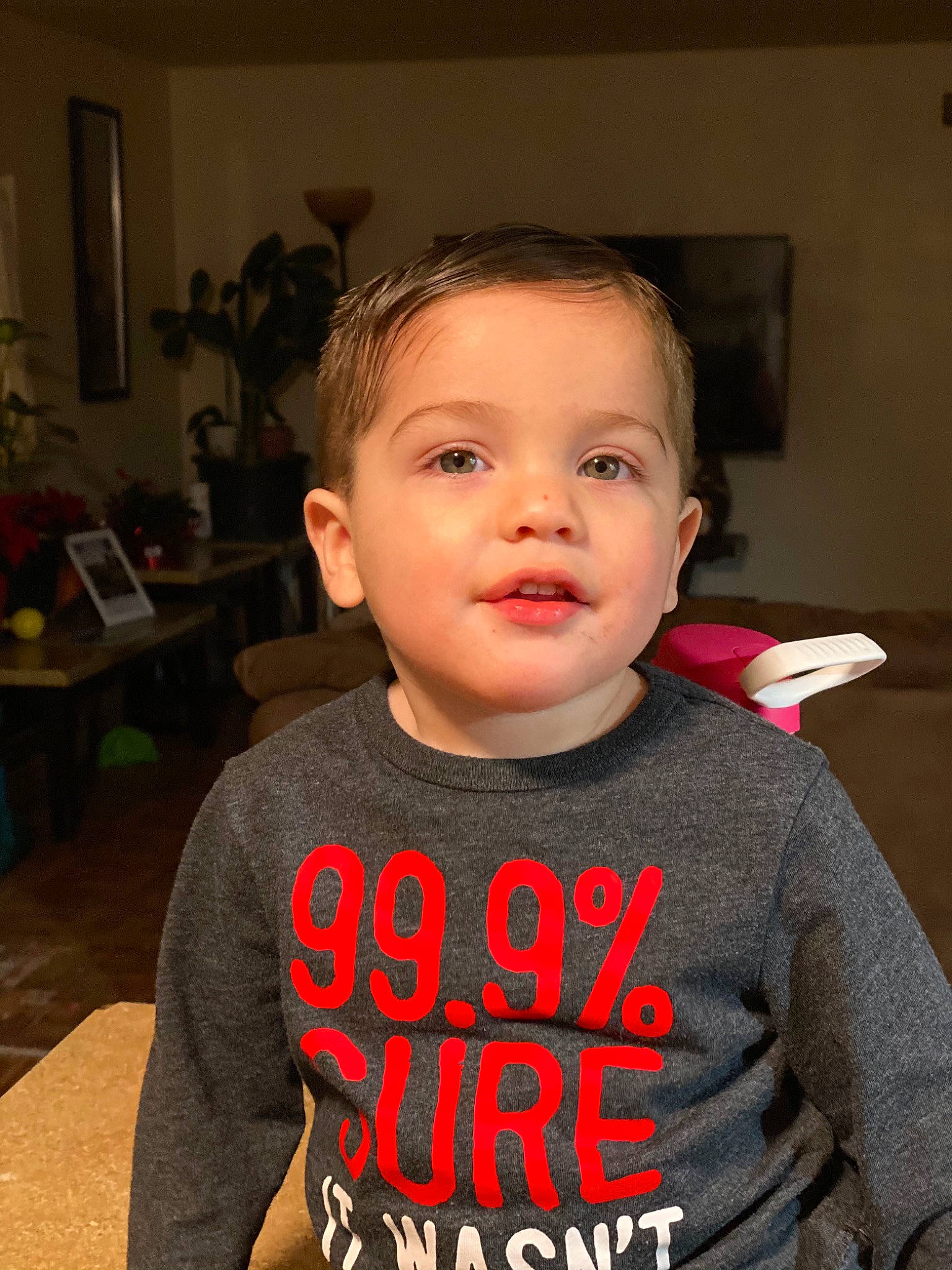 Jaxton joined the competition — help win amazing prizes! active_shirt, baby, baby_toddler_clothing, cheek, cool, ear, eyebrow, eyelash, forehead, houseplant, long_sleeved_t_shirt, mohawk_hairstyle, neck, person, picture_frame, sweater, t_shirt