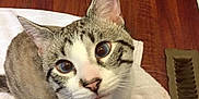 Cinco is registered to the contest to win money with this photo: