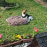 blanket, canine, daytime, dog, flower_pots, flowers, garden, grass, greenery, nature, outdoor, peaceful, pet, plants, relaxed, resting, small_dog, summer, sunlight, yard