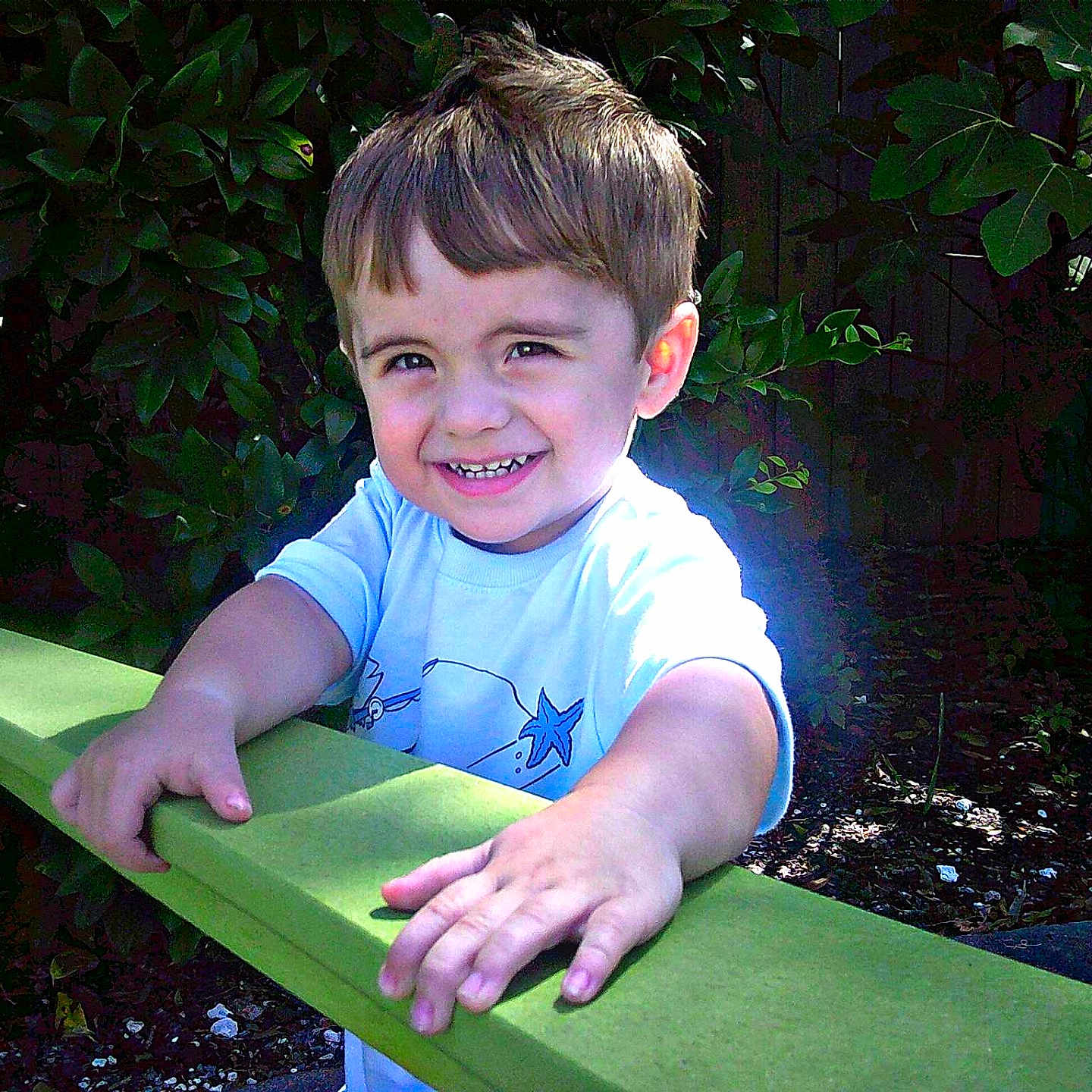 Lucas joined the competition — help win amazing prizes! boy, casual_clothing, child, cute, daylight, garden, green, happy, leaves, nature, outdoor, person, playful, portrait, railing, short_hair, smiling, sunlight, toddler, wood