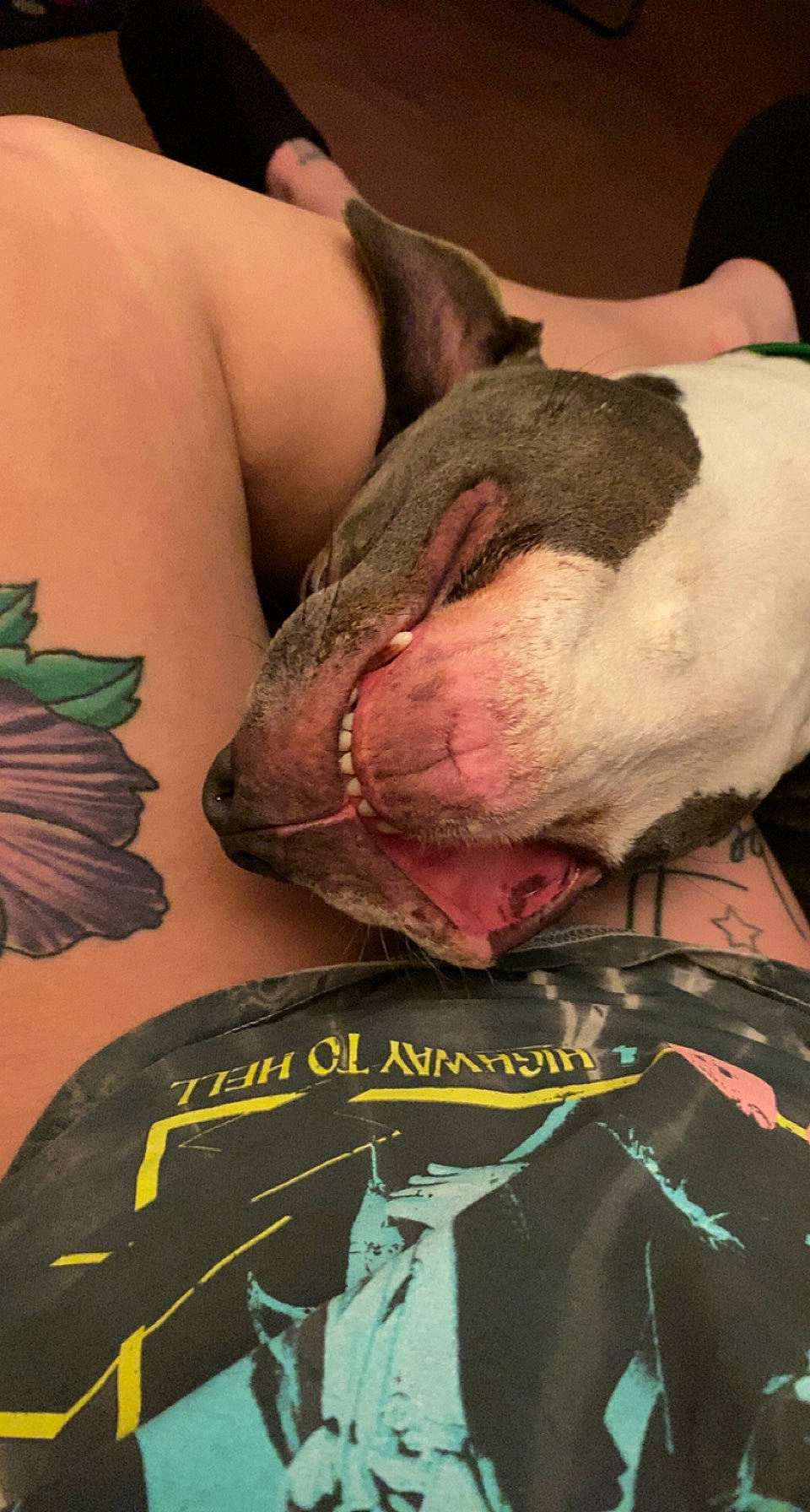 Kane is registered to the contest to win money with this photo: art, canidae, carnivore, chest, comfort, companion_dog, dog, dog_breed, elbow, flesh, foot, human_leg, nail, pattern, sporting_group, tattoo, temporary_tattoo, thigh, whiskers, wrist