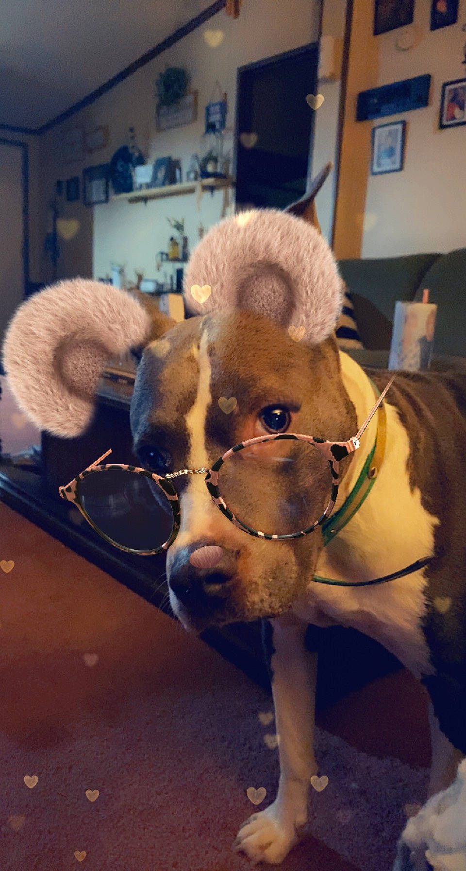 Kane joined the competition — help win amazing prizes! art, bear, bighorn, bovine, cephalopod, companion_dog, dog_breed, fawn, fur, horn, jaw, livestock, picture_frame, sculpture, sheep, snout, terrestrial_animal, whiskers, wood, working_animal