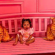 Alana is registered to the contest to win money with this photo: toddler, child, pink_bench, pink_wall, plush_cat, cat_cushion, pigtails, smiling, happy, sitting, indoor, decorative_molding, childrens_clothing, toy, cute, playful, bright_colors, portrait, childhood, fun