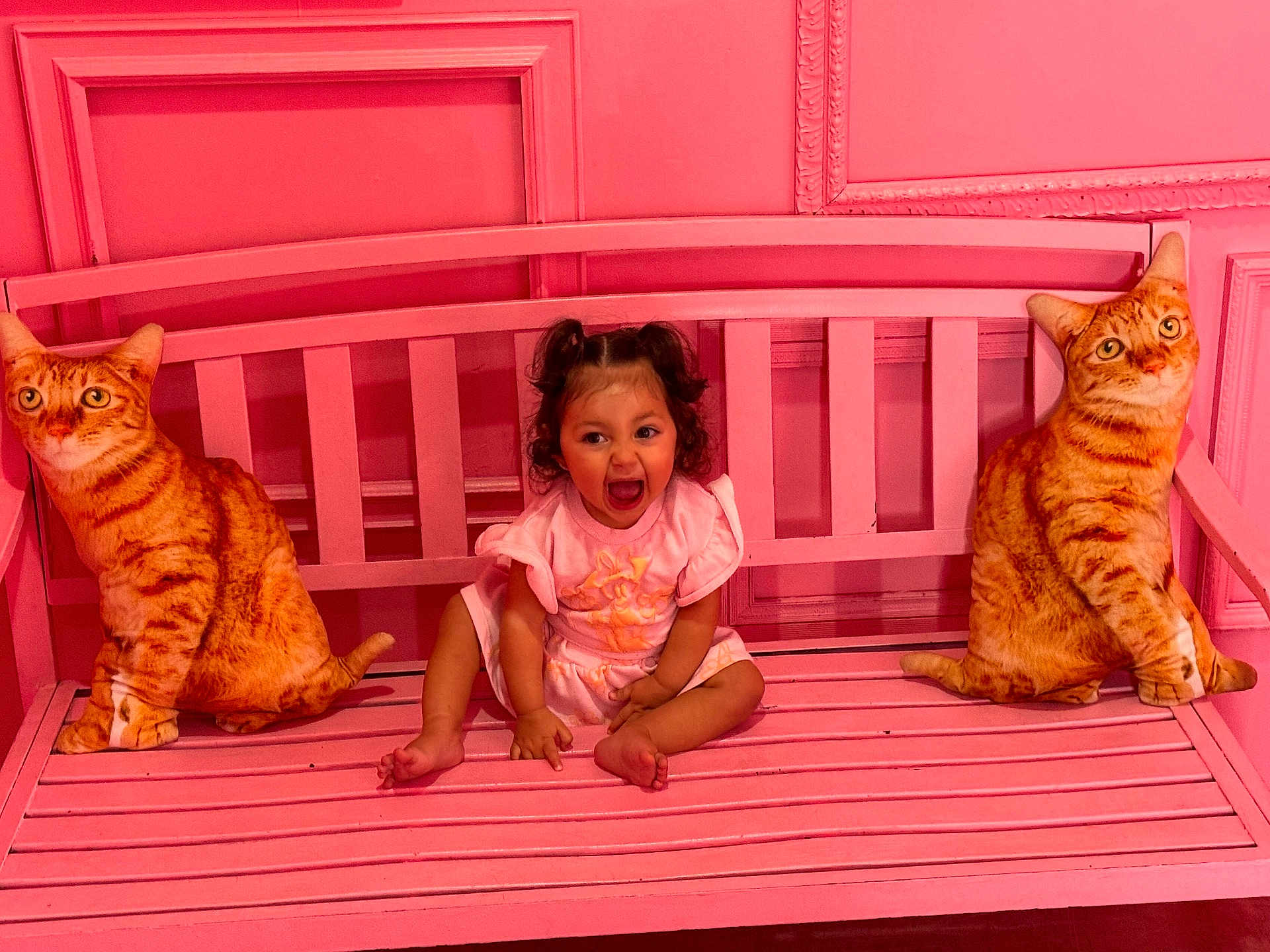 Alana is registered to the contest to win money with this photo: toddler, child, pink_bench, pink_wall, plush_cat, cat_cushion, pigtails, smiling, happy, sitting, indoor, decorative_molding, childrens_clothing, toy, cute, playful, bright_colors, portrait, childhood, fun