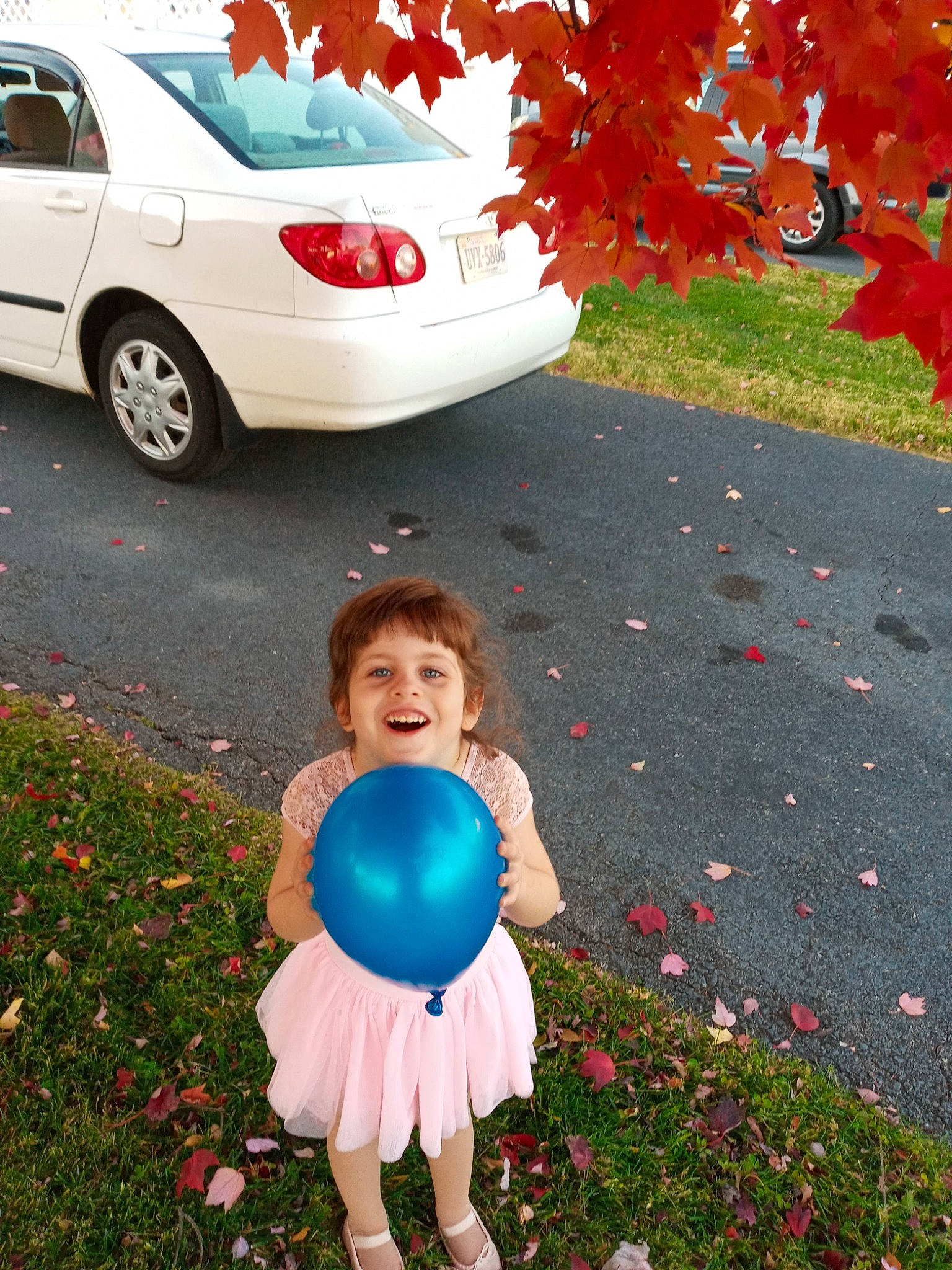 Iona joined the competition — help win amazing prizes! alloy_wheel, automotive_design, automotive_lighting, automotive_tire, botany, car, grass, green, happy, joy, leaf, light, motor_vehicle, nature, people_in_nature, person, photograph, pink, plant, tire