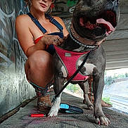 Tesla Marie is registered to the contest to win money with this photo: woman, dog, heart_shaped_sunglasses, denim_overalls, pink_harness, graffiti, urban, concrete, leash, lighter, crouching, happy, tongue_out, earrings, tattoo, boots, outdoor, smile, portrait, casual