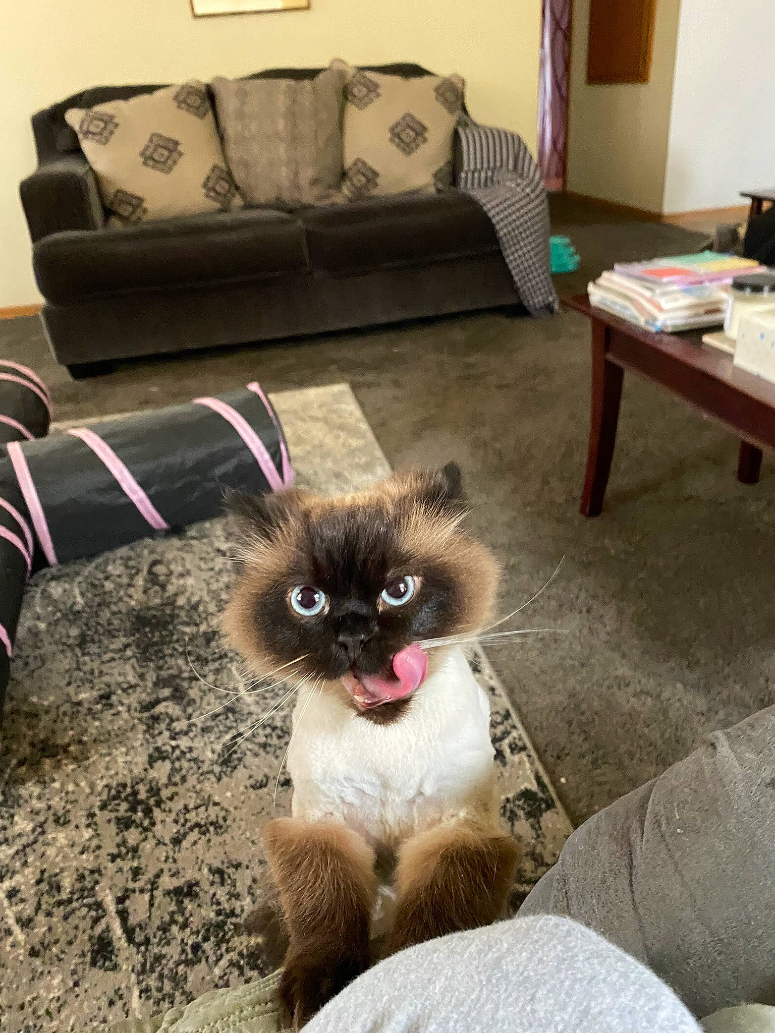 Asia