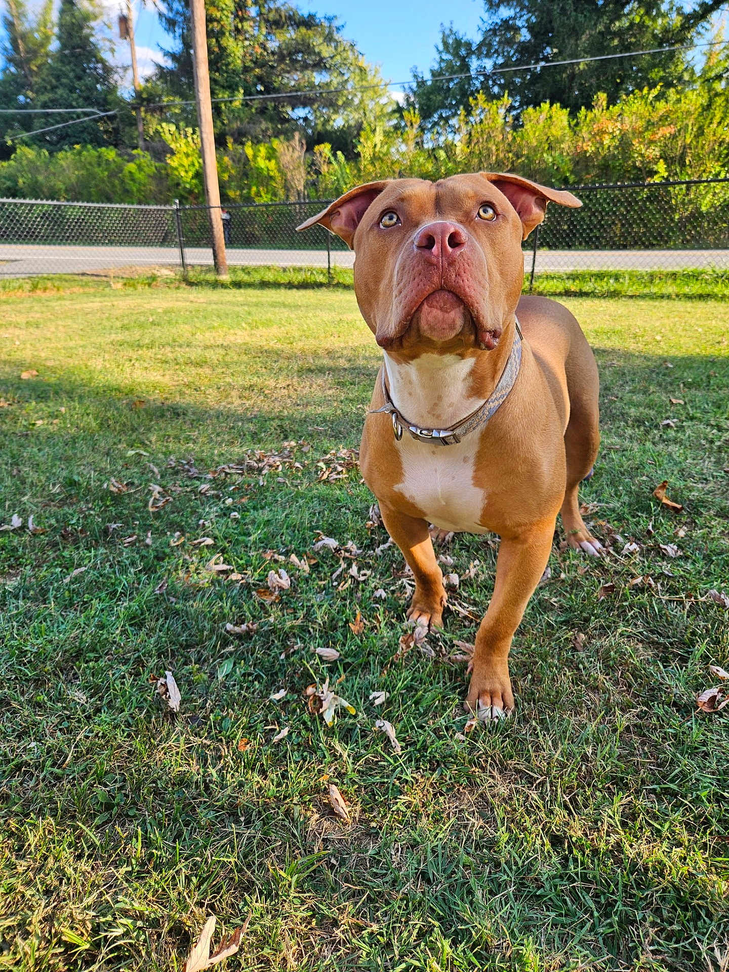 Deuce