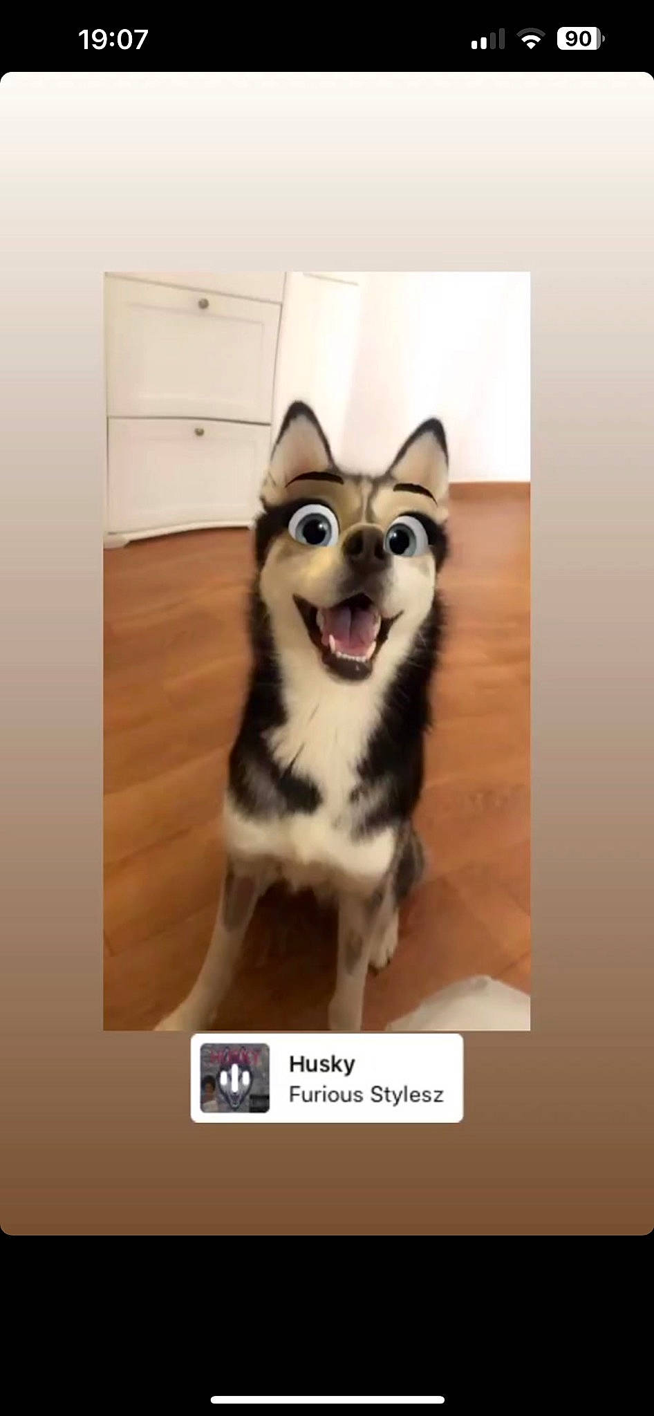 Kenai joined the competition — help win amazing prizes! art, cabinetry, canidae, carnivore, companion_dog, dog, dog_breed, fashion_accessory, felidae, font, fur, happy, paw, photo_caption, rectangle, screenshot, smile, terrestrial_animal, whiskers, wood