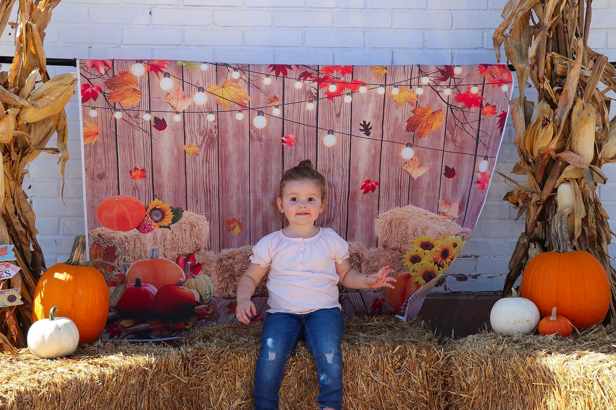 Laila joined the competition — help win amazing prizes! art, calabaza, child, cucurbita, fun, gourd, grass, happy, joy, leisure, orange, people, people_in_nature, person, plant, pumpkin, squash, toddler, tree, vegetable