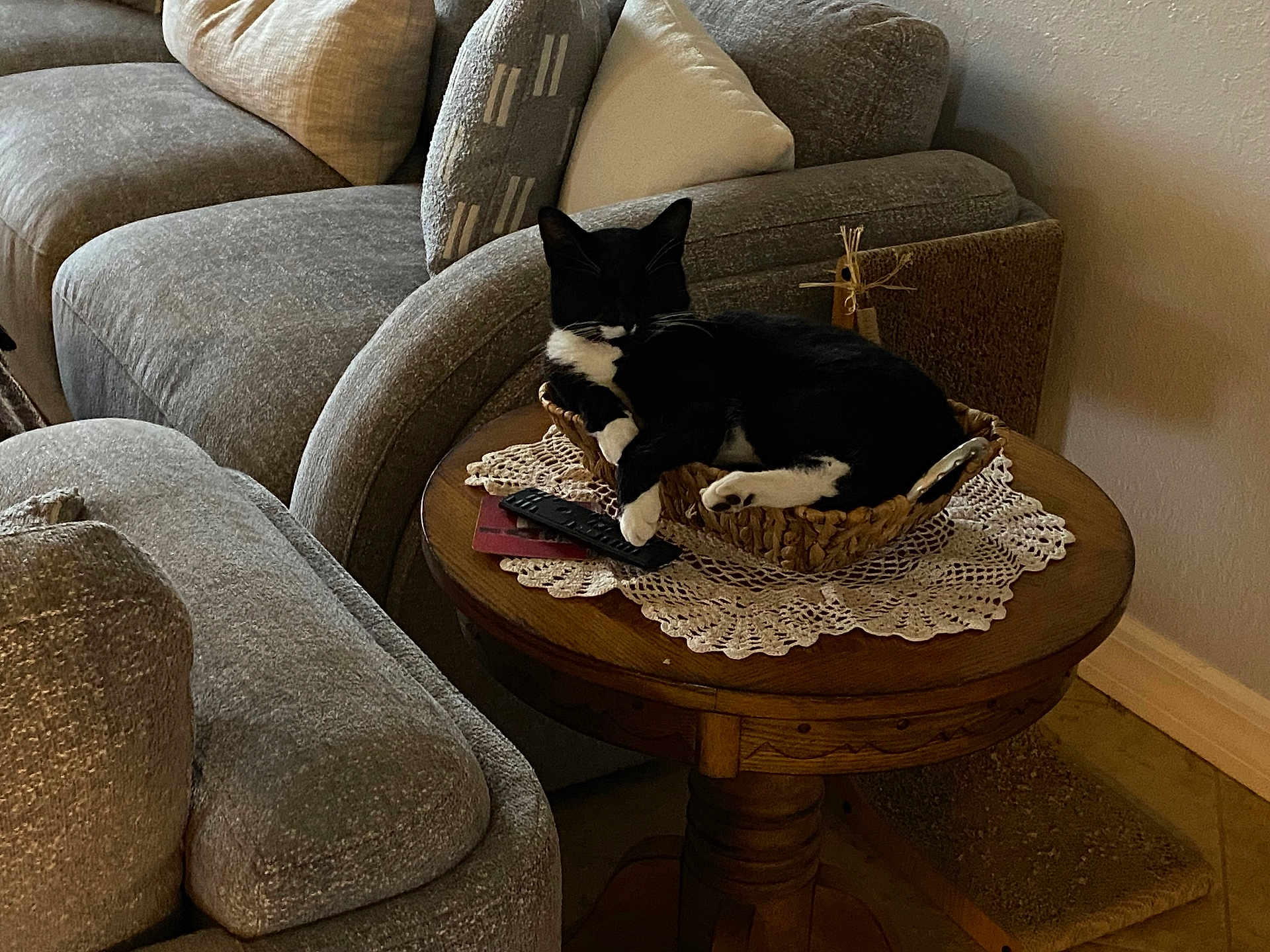 Sylvester joined the competition — help win amazing prizes! basket, black_and_white, cat, couch, cozy, cushion, decor, domestic, furniture, gray_couch, home_interior, indoor, lace_doily, living_room, pet, relaxing, remote_control, resting, table, wooden_table