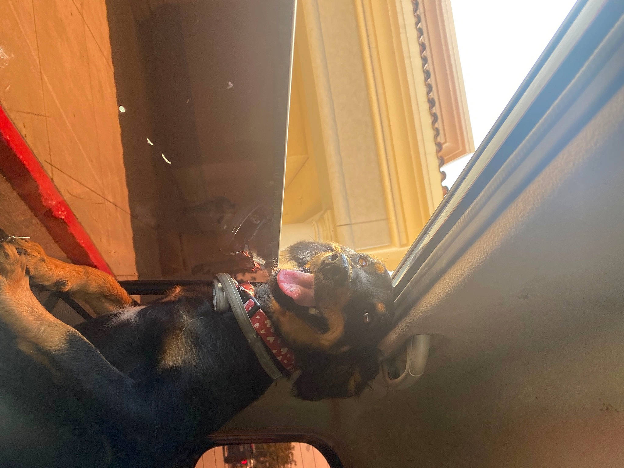 Maria joined the competition — help win amazing prizes! auto_part, ceiling, elbow, flooring, fun, glass, hardwood, human_body, human_leg, metal, personal_protective_equipment, room, tints_and_shades, vehicle_door, wood