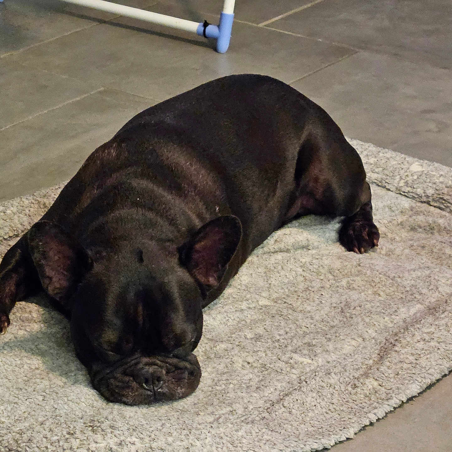 Paco