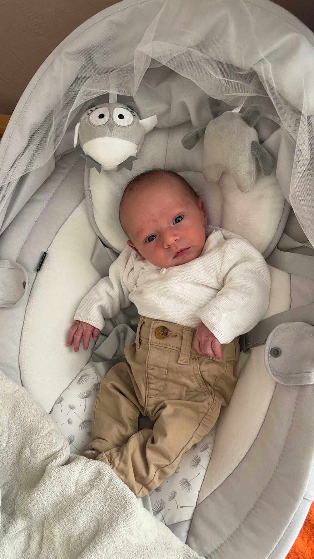 Noah participe au concours pour gagner de l'argent avec cette photo : baby, infant, child, clothing, pants, sweater, baby_seat, blanket, stuffed_toy, plush_toy, face, head, looking, indoor, soft, cushion, resting, cute, small, newborn