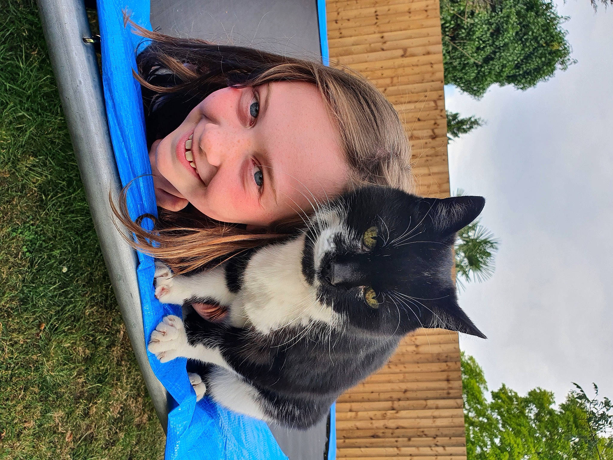 Peter joined the competition — help win amazing prizes! black_hair, blue, carnivore, cat, eye, face, felidae, fur, grass, happy, house, iris, leisure, mammal, plant, small_to_medium_sized_cats, snout, tree, vertebrate, whiskers