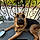 Jessy