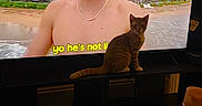 Simba joined the competition — help win amazing prizes! cat, kitten, pet, television, tv_screen, man, shirtless, beach, tropical, palm_trees, ocean, sand, indoor, living_room, furniture, tv_stand, tile_floor, carpet, bottle, subtitles