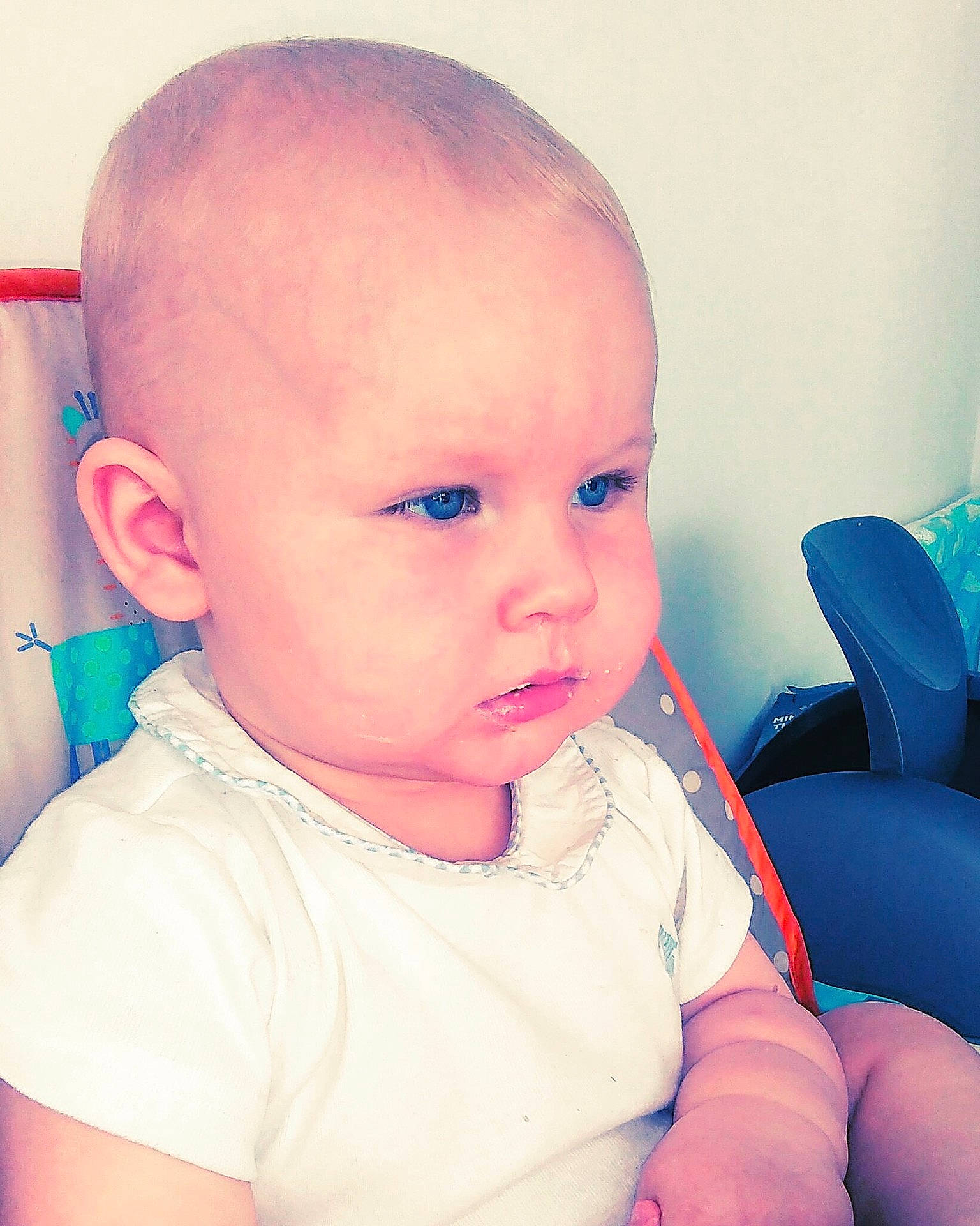 Marley joined the competition — help win amazing prizes! cheek, child, chin, ear, eye, face, forehead, hairstyle, head, human_hair_color, infant, lip, mouth, nose, organ, pink, product, skin, smile, toddler