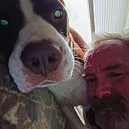 Beethoven joined the competition — help win amazing prizes! dog, person, closeup, beard, nose, couch, indoor, window, facial_hair, brown, white, face, pet, companion, home, cozy, relaxed, portrait, animal, friendship
