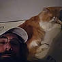 Biscuit is registered to the contest to win money with this photo: man, glasses, cap, beard, cat, orange_cat, white_cat, fluffy_cat, indoor, lying_down, selfie, face, pet, furniture, relaxed, dim_light, shadow, closeup, casual, home