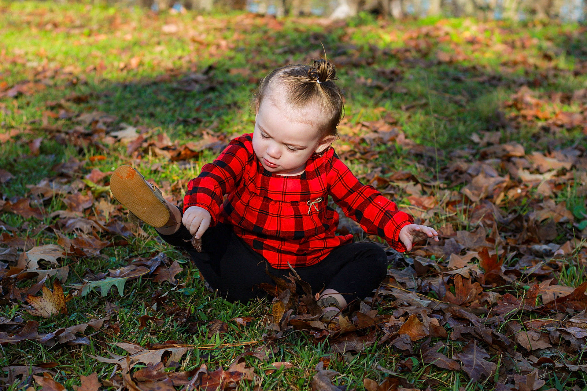 Brynlee is registered to the contest to win money with this photo: autumn, baby, baby_toddler_clothing, carmine, deciduous, forest, grass, groundcover, leaf, pattern, people_in_nature, person, plaid, plant, sitting, soil, tartan, toddler, tree, wood