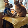 cat, rabbit, stuffed_animal, plush_toy, orange_cat, tabby, blue_clothing, chair, yellow_blanket, window, sunlight, indoor, home, cozy, sitting, animal_portrait, whiskers, ears, curtain, window_blinds