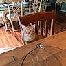 cat, orange_cat, tabby, pet, animal, sitting, face, eyes, whiskers, ears, indoor, dining_room, dining_table, chair, wooden_furniture, hardwood_floor, glass_bowl, dessert, home_decor, portrait