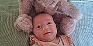 Lilou participe au concours pour gagner de l'argent avec cette photo : baby, infant, stuffed_animal, bunny, plush_toy, blanket, bed, pink_clothing, smile, face, cute, child, soft_toy, home, resting, lying_down, cozy, happy, indoor, portrait
