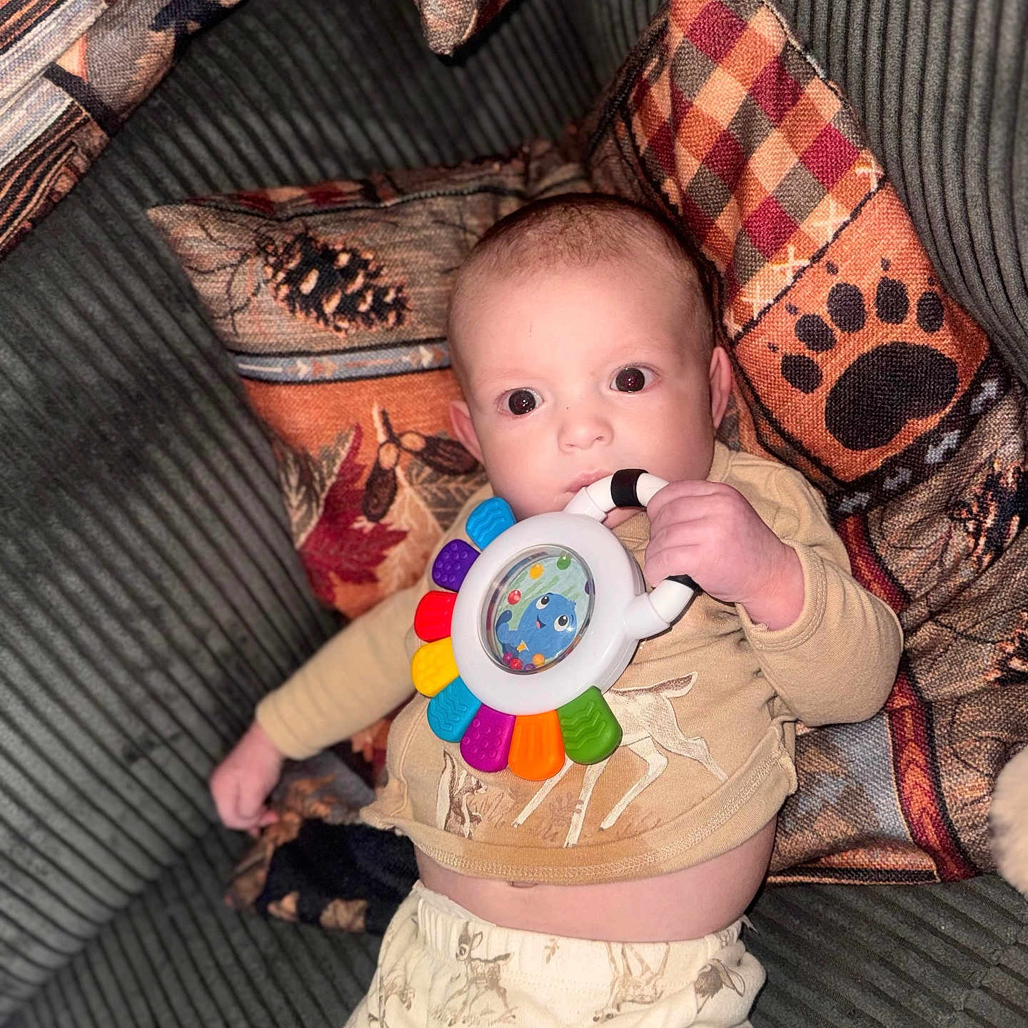 Carson joined the competition — help win amazing prizes! baby, infant, toy, colorful, pillow, couch, patterned, clothing, hand, face, wide_eyes, indoor, cozy, child, sitting, blanket, cute, playful, fabric, home