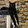 Chat'Mallow