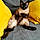 Olympe