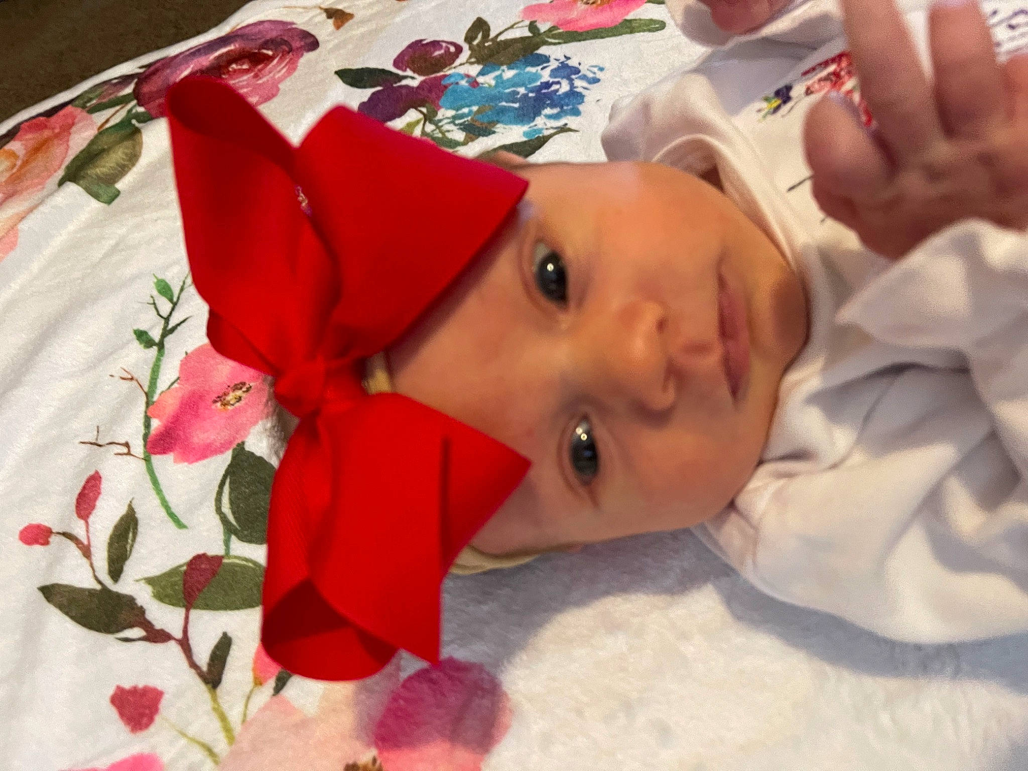 Haven is registered to the contest to win money with this photo: baby, baby_products, baby_toddler_clothing, carmine, child, cut_flowers, event, fashion_accessory, flower_arranging, happy, hat, headwear, linens, person, petal, plant, room, rose, textile, thumb