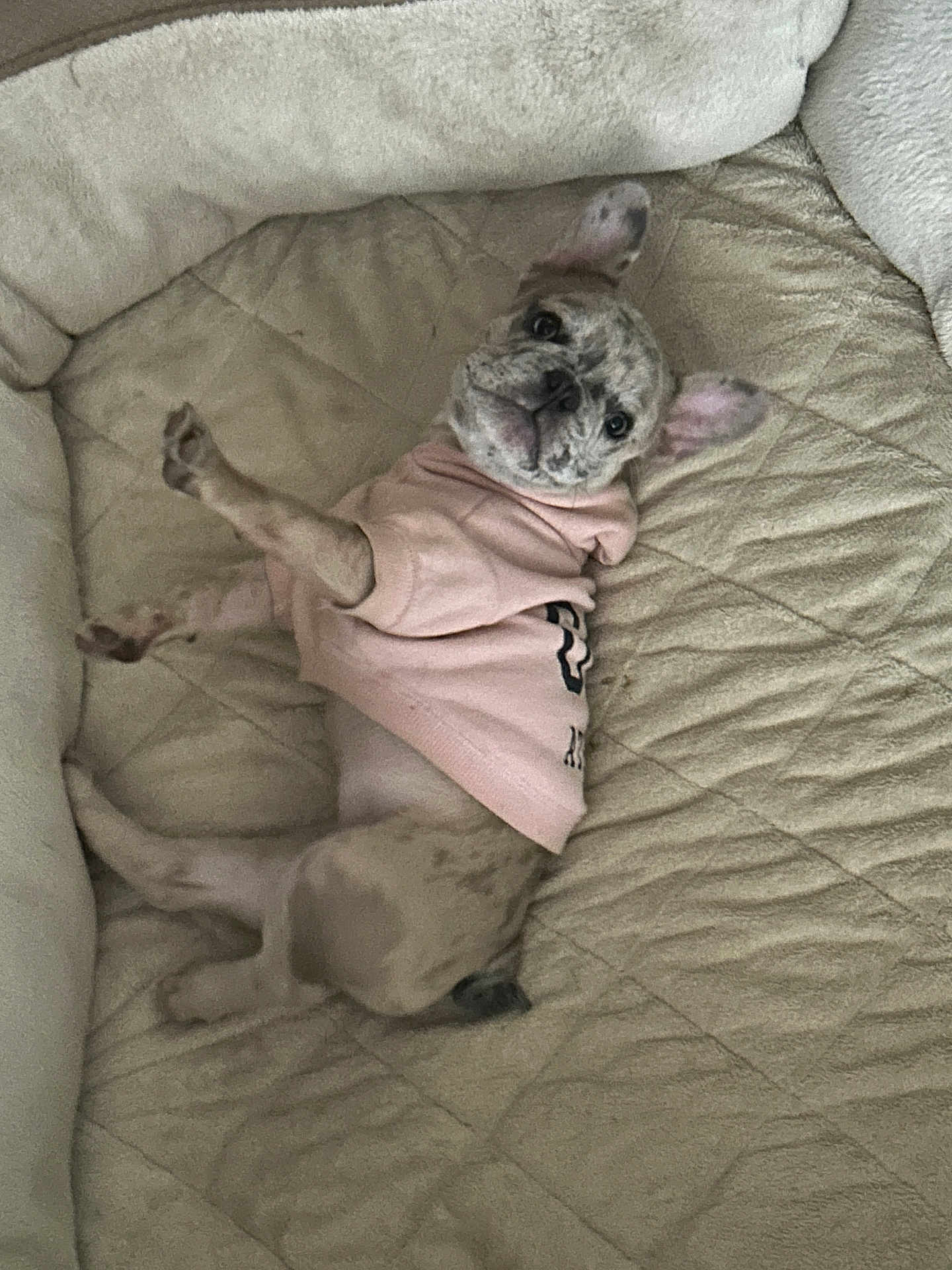 Bella