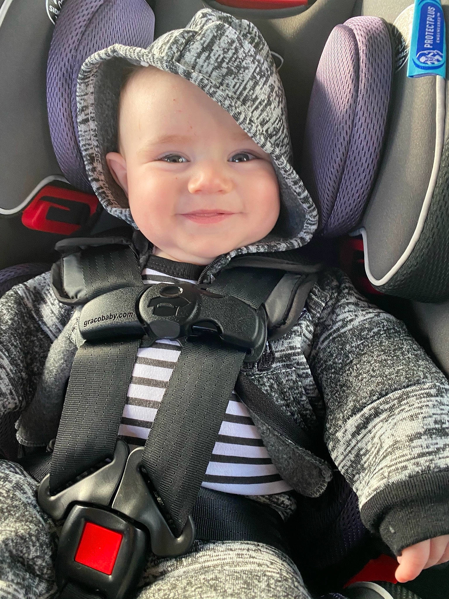 Blaze joined the competition — help win amazing prizes! baby, baby_carriage, baby_in_car_seat, baby_products, beanie, bonnet, car_seat, car_seat_cover, child, comfort, cool, head_restraint, headwear, hood, joy, knit_cap, person, product, seat_belt, toddler