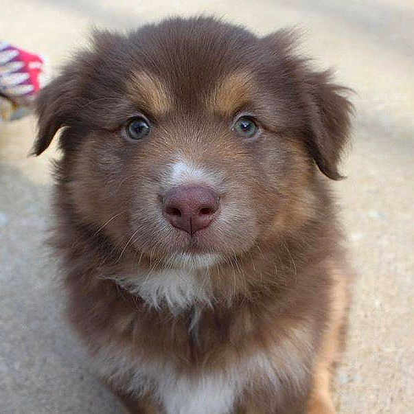 Bear is registered to the contest to win money with this photo:
