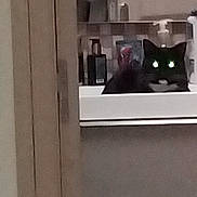 Aïko a rejoint le concours — aidez-le/la à gagner de superbes lots ! animal, bathroom, black_cat, bottle, cabinet, cat, closeup, container, countertop, dark, feline, furniture, glowing_eyes, household, indoor, mirror, pet, room, sink, toiletries