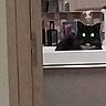 animal, bathroom, black_cat, bottle, cabinet, cat, closeup, container, countertop, dark, feline, furniture, glowing_eyes, household, indoor, mirror, pet, room, sink, toiletries