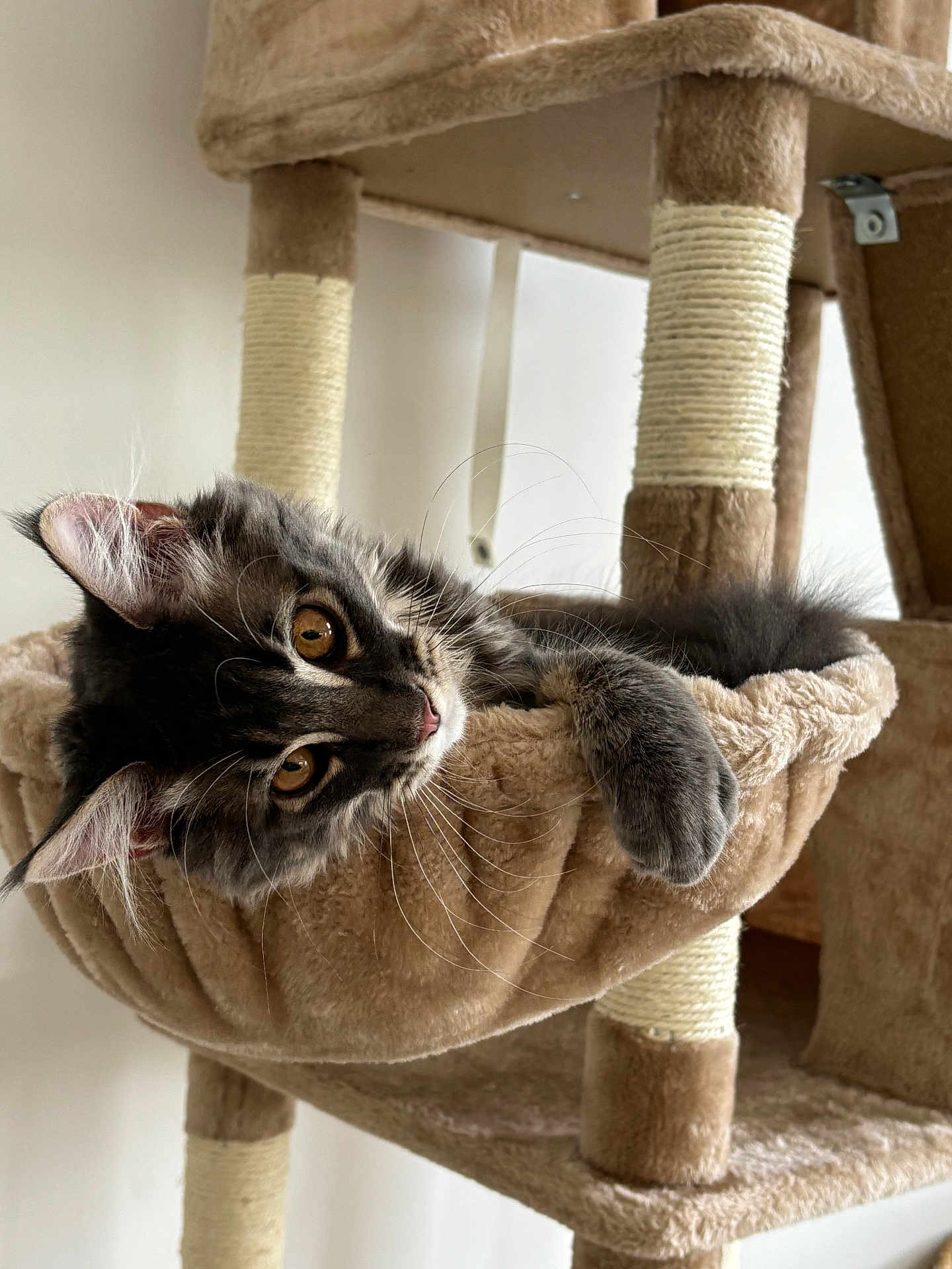 Milo